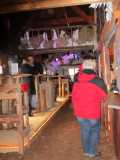 IMG 6267
