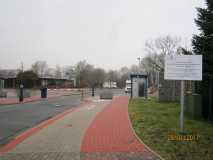 IMG 6461